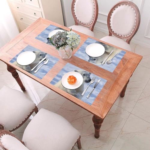 Set de table PVC lavable lot de 4 antidérapant cuisine et extérieur - 8