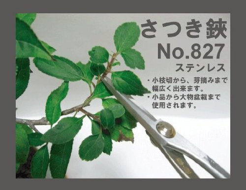 Amazon | 資材：兼進作 小枝切鋏 No.827*佐川急便 | 園芸用はさみ
