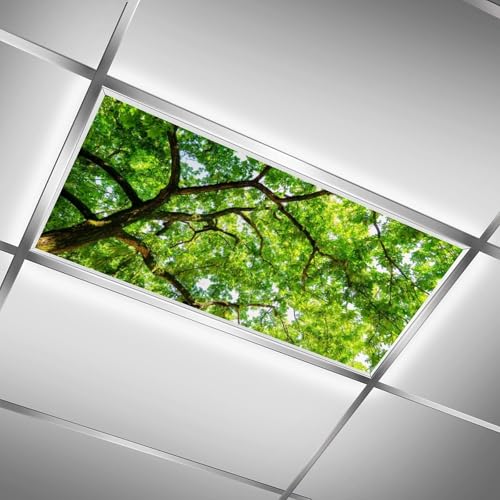 Image of 2Pcs Tree Fluorescent Light Covers for Ceiling Lights Classroom, Magnetic Light Filters for Office, Classroom, Home 4 X 2 Feet