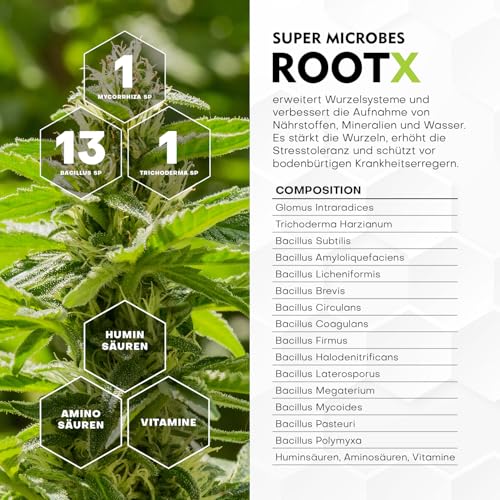 RootX - Premium Bewurzelungspulver für Stecklinge von Grünpflanzen | Speziell formuliert für blühende und knospende Pflanzen | Enthält Mykorrhizapilze, Trichoderma und andere nützliche Bakterien 150GR