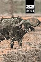 Buffalo Bison Yak Gaur Week Planner Weekly Organizer Calendar 2020 / 2021 - Slightly Dirty: Cute Wildlife Animal Pet Bullet Journal Notebook Diary in 6" x 9" Inch Pocket Size 1675764948 Book Cover