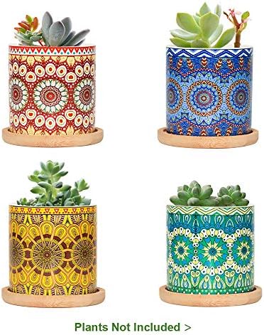 Mandala pots