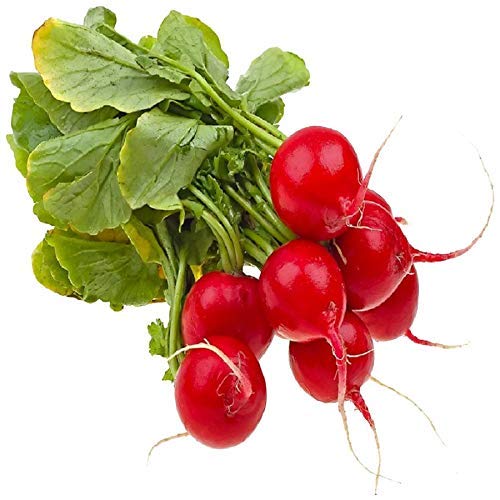 Table Raddish Fresh Table Radish, Disassembled, 1000 g : Amazon.in: Grocery & Gourmet ...
