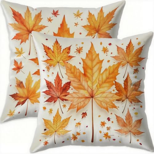 Housse de coussin 70x70 cm orange en velours imperméable (lot de 2)