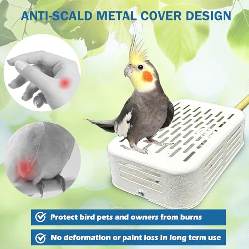 WEIYOONS Aquecedor de pássaros para gaiola, lâmpada de calor de pássaros com abajur e design sem luz