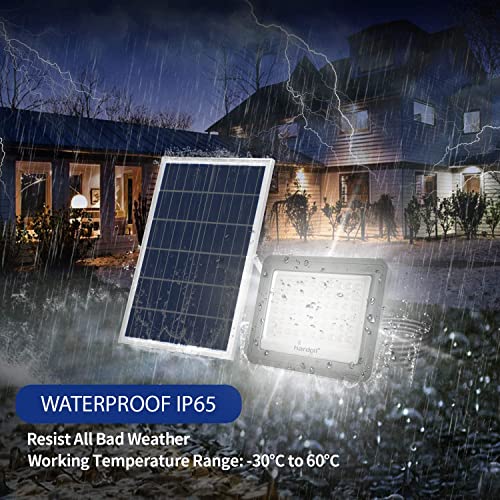 Hardoll 100W Solar Flood Light LED Outdoor for Lamp for Home Garden Waterproof(Cool White-Pack of 1)(Aluminium)