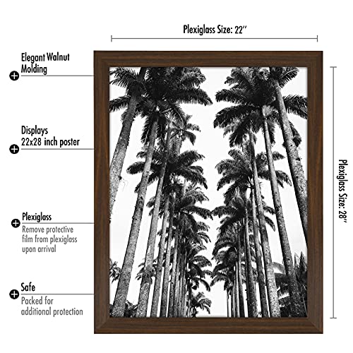 Americanflat 22x28 Poster Frame with Polished Plexiglass - Wide Picture Frames Made of Engineered Wood for Vertical or Horizontal Wall Display - Epic Collection - Walnut