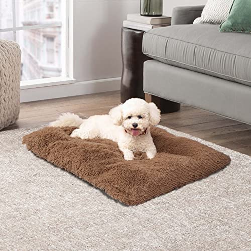 CALIYO Hundsäng medelstora stora hundar, hundsäng, fluffig husdjurssäng, kattsäng, tvättbar, hundsäng, små hundar, hundkuddar, kattkudde, hundkorg, fluffig hundsäng (100 x 70 x 10 cm)