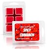 Spicy Cinnamon Scented Wax Melt 2 Ounces 6 Cubes 1 Pack