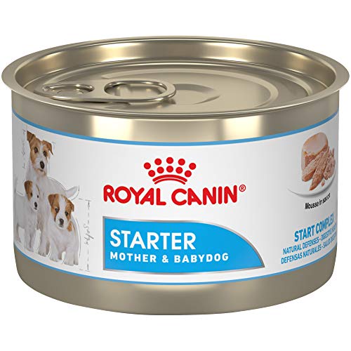 10 Best Dog Foods for Nursing Moms A Comprehensive Review and Buying
