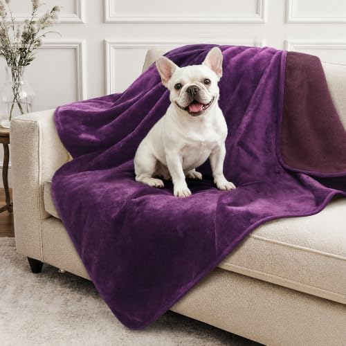Image of LOOBANI Waterproof Dog Blanket for Bed: Spill-Proof Puppy Blankets for Small Medium Dogs Washable, Reversible Soft Flannel Pet Throw for Couch Sofa Cover, Travel, Camping, 30 inch x 40 inch, Purple