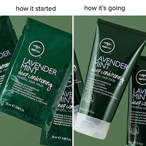 Tea Tree Lavender Mint Deep Conditioning Mineral Hair Mask, Hydrates + Strengthens, For Coarse + Dry Hair, 5.1 fl. oz. - Image 4