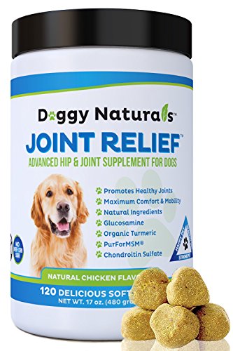 Joint Relief | Glucosamine for Dogs All Natural Hip & Joint Supplement for Dogs, Glucosamine, Chondroitin, MSM, Turmeric, Gluten Free, Vitamin, Arthritis Pain, Hip Dysplasia, Relief MobilityMADE USA