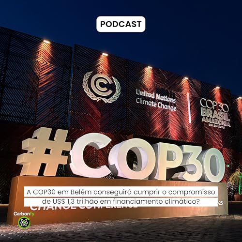 A COP30 em Belém conseguirá cumprir o compromisso de US$ 1,3 trilhão em financiamento climático?