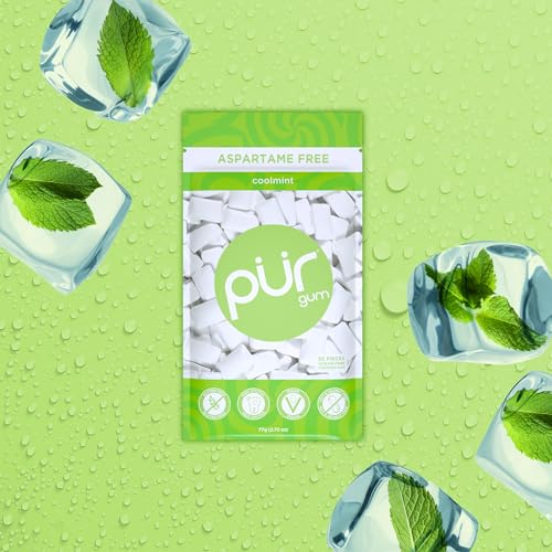 image for PUR Gum | Aspartame Free Chewing Gum | 100% Xylitol | Natural Coolmint