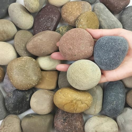 FANTIAN 5 lbs Natural Aquarium Rocks, 2-3 Inch Large Pebbles.Decorative River Rocks for Plants, Fish Tank, Garden, Paving, Fountain, Walkways and Outdoor Landscaping