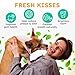 Dog Teeth Cleaning Powder - Dog Breath Freshener + Dental Care for Doggies & Cats + Tartar Remover for Teeth with Natural Ingredients + Probiotics Blend (Mint - 200g)