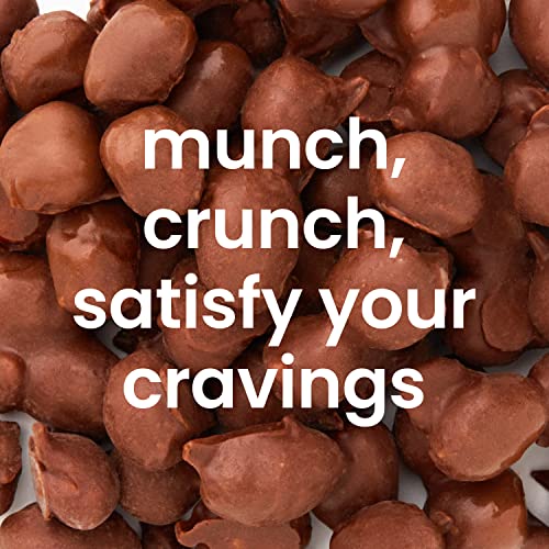 Gourmet Chocolate Covered Peanuts || 5 Lb || By Nutic ||Premium Quality Double Dipped Milk Chocolate Peanuts For Snacks And Gifts | Made In The Usa | Holiday Christmas New Year Presents #TOP4