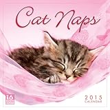Cat Naps 2015 Wall Calendar