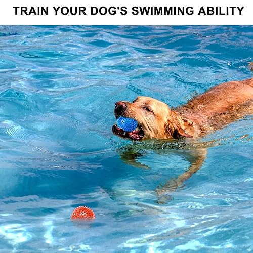 AYNKH Set of 4 Squeaky Dog Ball Toys, Indestructible Chew Spiky Balls for Puppy Small Medium Dogs Clean Teeth and Training - Image 2