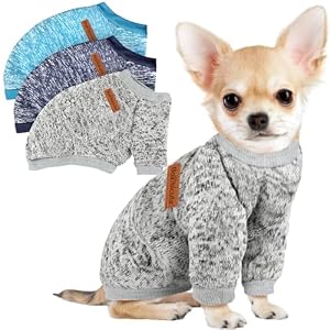 Dog Sweaters Small