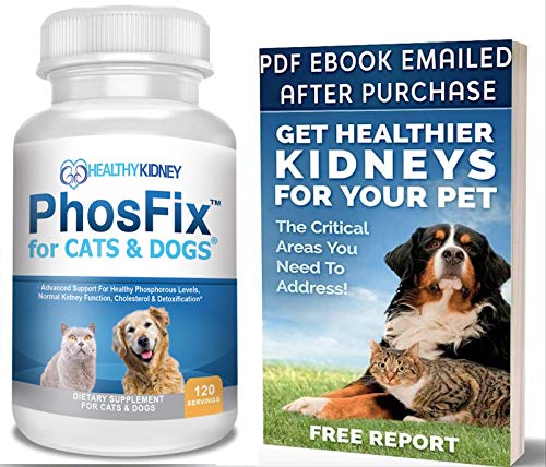 10 Best Dog Foods With Ideal Phosphorus Levels For Optimal Photo Inspiration