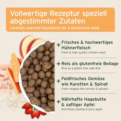 AniForte Huhn Trockenfutter für Hunde 2kg – Zartes Huhn mit Reis & Möhren, Vitamine für Hunde, Halbfeuchtes Trockenfutter, Hundefutter trocken glutenfrei für Allergiker