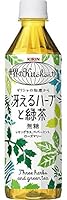 キリン 世界のKitchenから 冴えるハーブと緑茶 500ml