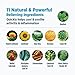 OWELL NATURALS Pain Relief Ointment - 3.5 oz 2 Pack - Maximum Strength All Natural Discomfort Reliever for Joint, Muscle, Knee, Back, Neuropathy - 5 Powerful Ingredients