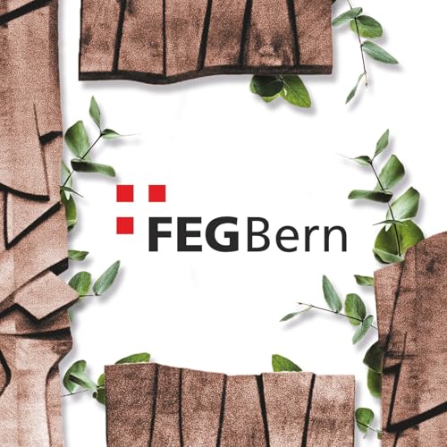 Couverture de FEG Bern