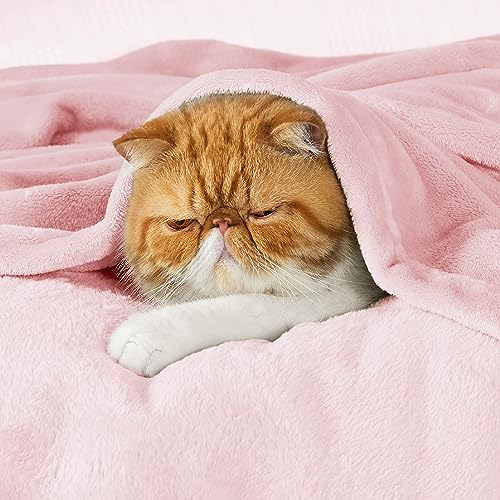 Image of Bedsure GentleSoft Pink Fleece Throw Blanket for Couch - 300GSM Cozy Soft Blankets for Women, Cute Small Fleece Throws for Girls, Pink Home Decor Gifts, 50x60 Inches
