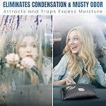 Car Dehumidifier & Moisture Absorber Bag – Reusable Silica Gel with Color-Changing Indicator – Eliminates Condensation & Musty Odors for Cars, RVs & Boats (2)