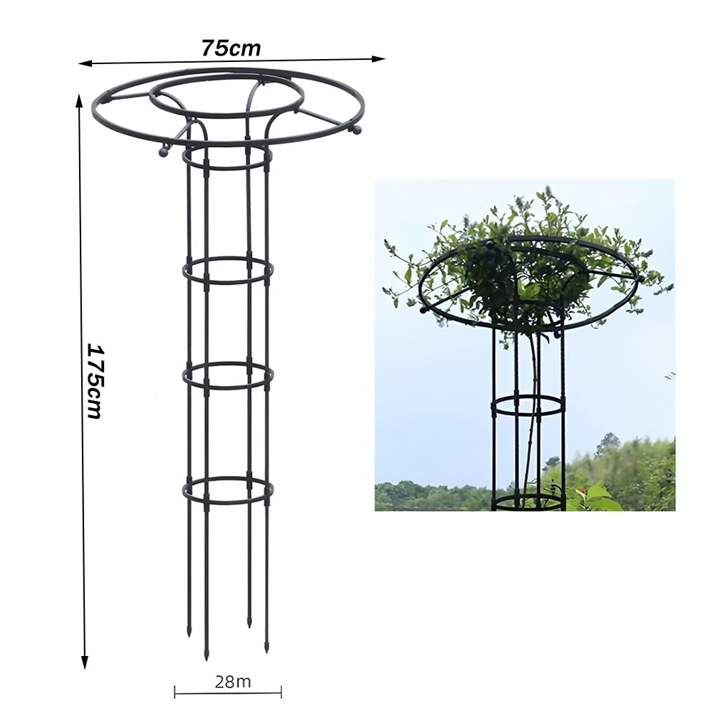 Zfmnoyev Tuteur De Jardin pour Plantes Grimpantes, Support pour Plantes en Métal Extensible Et Résistant À La Rouille, Trellis en Métal pour Plantes Et Fleurs(Blanc,75x175cm)