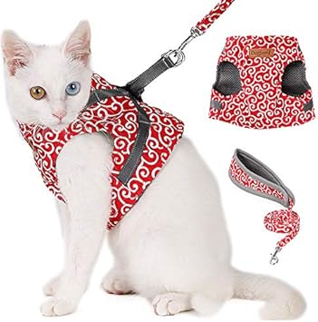 Amazon Aiwoke ペット 猫用 ハーネス リード セット ネコ 安全帯 おしゃれ 牽引ロープ 散歩 首輪 ネクタイ ベスト ねこ 胴輪 S レッド Aiwoke 首輪 ハーネス リード 通販