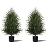 Mavis’s Diary Artificial Topiary Ball Tree, Indoor Realistic Faux Boxwood Bush Potted Plants, Outdoor Fake Shrubs Cedar Evergreen Plants for Home Living Room Front Porch Decor (2, 3ft)