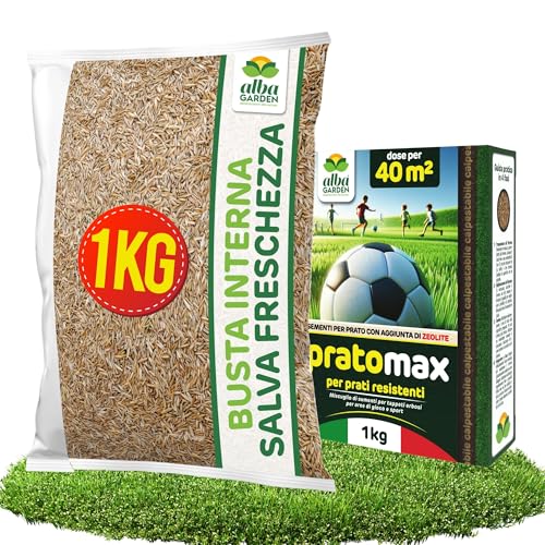 Albagarden - Semi Prato Resistente Al Calpestio - 40m² - Sementi Erba per Tappeti Erbosi per Aree Gioco - Super Calpestabile - Rapida Crescita per ogni Tipo di Terreno e Giardino