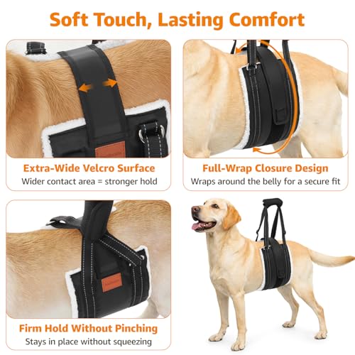 LOOBANI Dog Lift Harness for Back Legs, Portable Dog Sling for Large Dogs Hind Leg Support, Comfortable Leg Support Assistance for Elderly Dogs with Hip, ACL Brace, Senior, Injured by LOOBANI - Used condition - Image 3