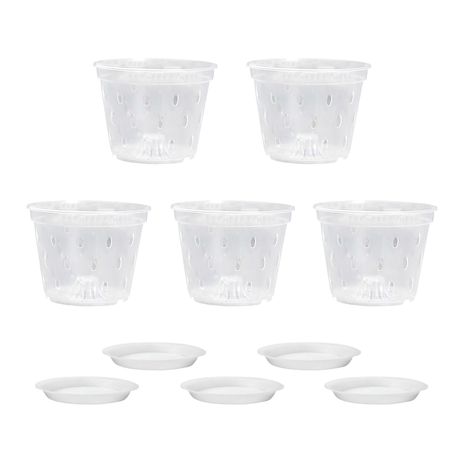 Xjdzineq Clear Flower Bases Set of 5 Great for Observing Root Development and Moisturization Needs Window Sill Cultivators