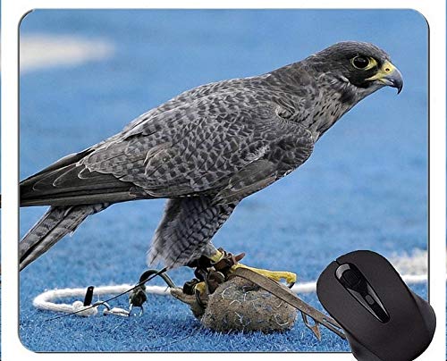 Eagles Mouse Pad Personalized,Falcon Mouse Pad With Stitched Edge