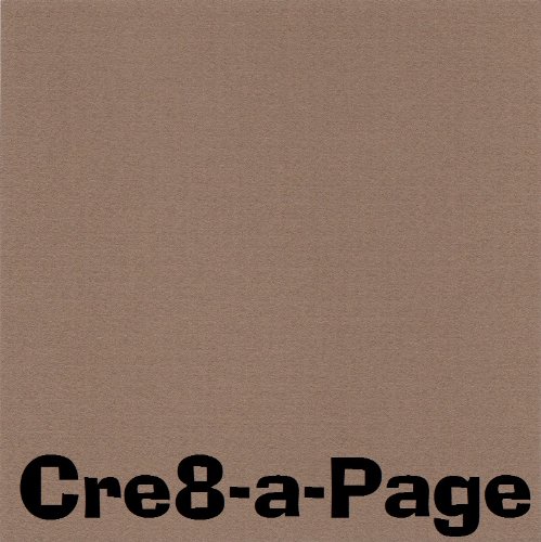 12x12 Dark Tan 80# Cardstock Paper, 15 Sheets, 80lb Card Stock, Scrapbooking Heavy Thick