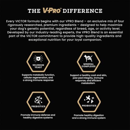 Image of VICTOR High Energy Dry Dog Food - Gluten Free Active Canine Kibble, 15 lb | Super Premium Dog Food, Beef and Chicken Meal Proteins, For Sporting and Active Dogs, All Breeds and All Life Stages, 15lbs