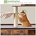 GUTINNEEN All-in-One Cat Litter Box Enclosure Hidden Litter Box Furniture with Cat Tree, Scratching Post, Cozy Cat Cave, Hanging Hammock, Storage Cabinet, Durable & Space-Saving (Brown)