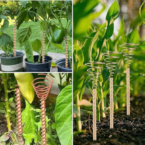 yotutun 20m Electroculture Gardening Kupferdraht, 99,9% Reiner 16 Gauge/1,3 mm Copper Wire Blanker Kupferdraht für Garten, Pflanzen und Gemüseanbau, Air Plant Holders