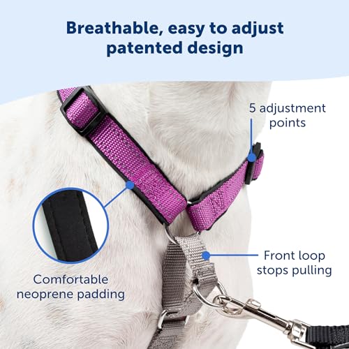 PetSafe Arreio 3 Em 1 Da The Makers Of The Easy Walk Arness Cinto Para Cães Totalmente Ajustável Pre