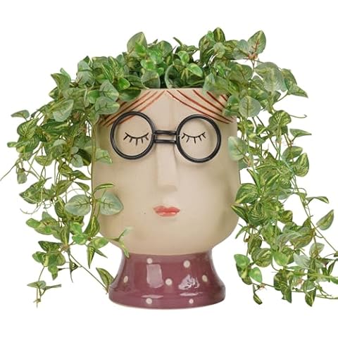 DiliComing Large Face-Planter for Indoor Plants - 8.3 Inch Porcelain Planter Vase for Indoor Plants, Indoor Face Vase Succulent Pot 5.8 x 6.1 x 8.3 Inches (No Drainage Hole) Cover