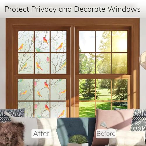 Image of WOO Home Frosted Glass Window Film & Stickers (24 X 120 INCH) Privacy Window Cover for Home & Office - Easy Apply, UV Protection, Removable Decorative Film (Multi Colour Bird Film | 2 X 10 SQFT)