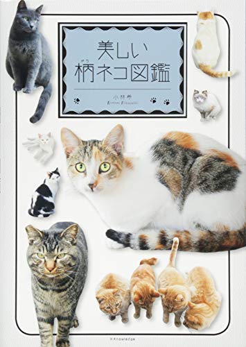 無料電子書籍 pdf 美しい柄ネコ図鑑 バイ