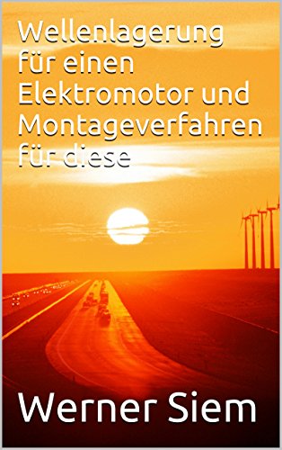 Wellenlagerung für einen Elektromotor und Montageverfahren für diese