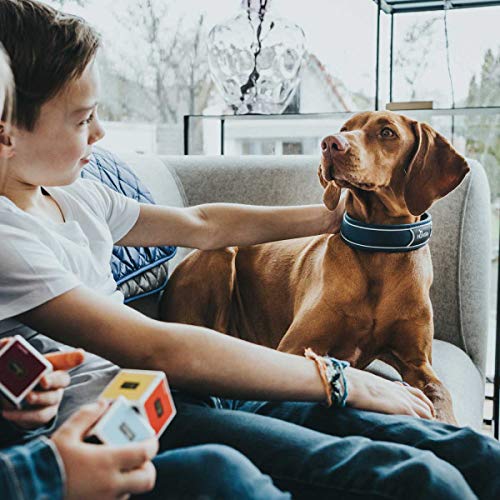 HUNTER DIVO Hundehalsung, Nylon, S, dunkelblau/grau