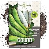 Seed Needs, Luffa Gourd (Luffa aegyptiaca) 2 Packages of 45 Seeds Non-GMO